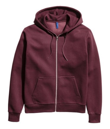 mens hooded sweatshirt